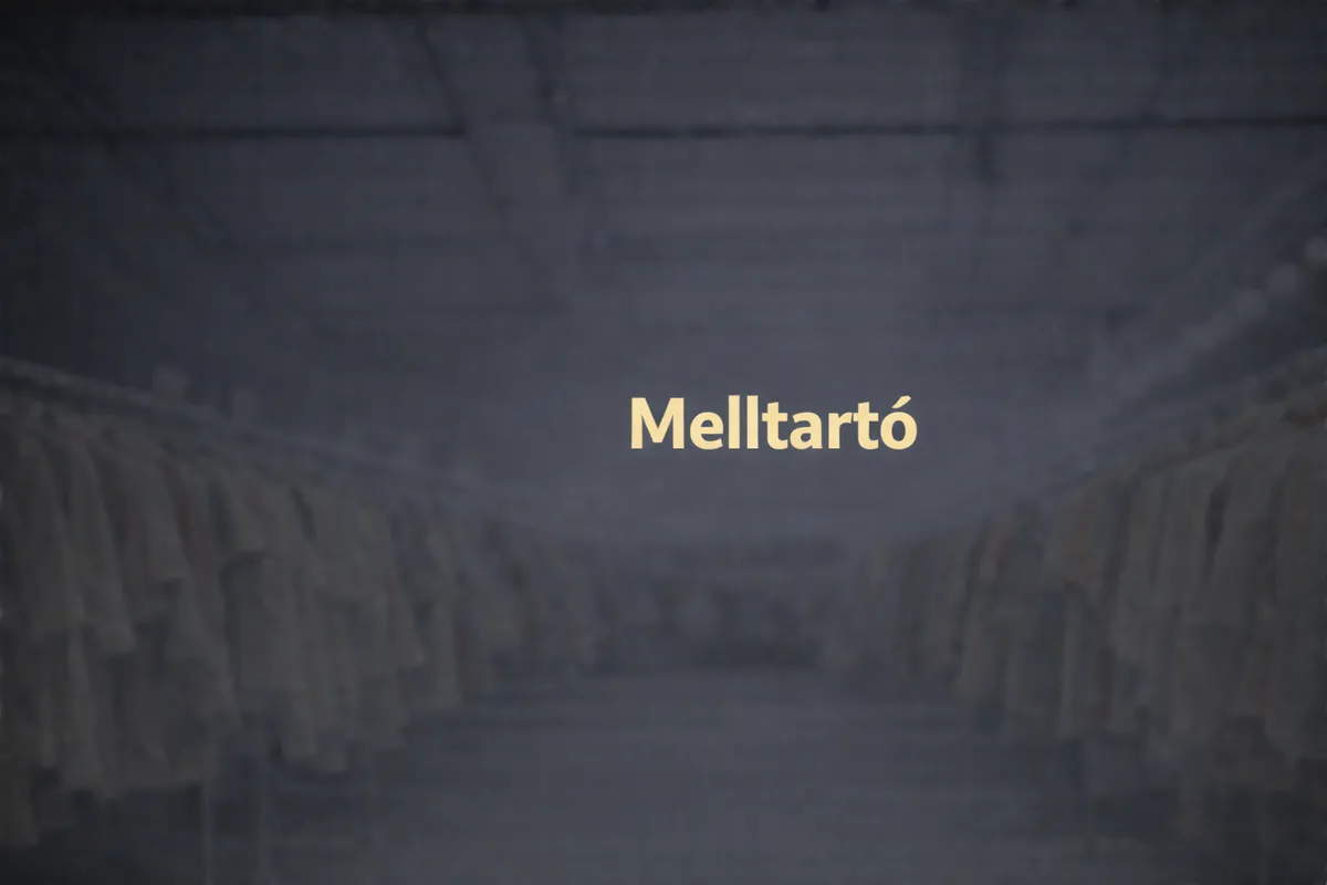 Extra melltartó